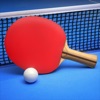 Ping Pong Fury激烈乒乓球